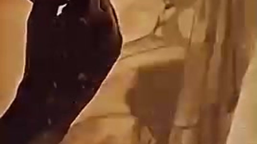 Nolwenn à la perle